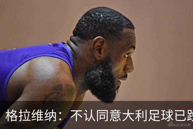格拉维纳：不认同意大利足球已跌至最低点 对未晋级世界杯失望